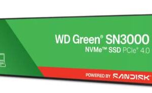 SSD SANDISK WDS500G4G0E